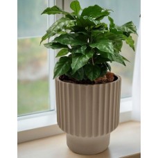 Горшок для цветов 